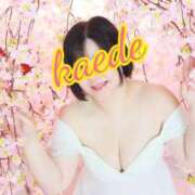 ヒメ日記 2026/03/30 18:12 投稿 かえで スイカ