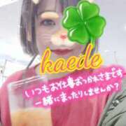 ヒメ日記 2026/03/30 22:08 投稿 かえで スイカ