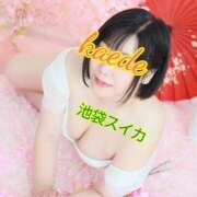 ヒメ日記 2026/04/02 11:30 投稿 かえで スイカ