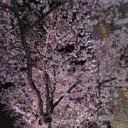 ヒメ日記 2026/04/02 22:10 投稿 かえで スイカ