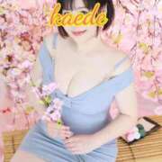 ヒメ日記 2026/04/03 15:06 投稿 かえで スイカ