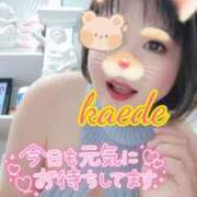 ヒメ日記 2026/04/08 09:06 投稿 かえで スイカ