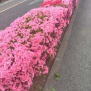 ヒメ日記 2026/04/13 21:40 投稿 かえで スイカ