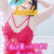 ヒメ日記 2026/04/15 13:33 投稿 かえで スイカ