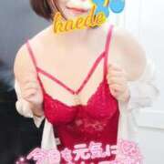 ヒメ日記 2026/04/18 09:30 投稿 かえで スイカ