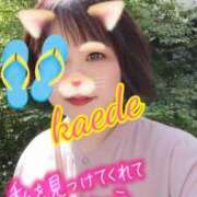 ヒメ日記 2026/04/19 14:11 投稿 かえで スイカ