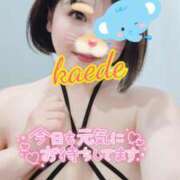 かえで 11〜17時でいくよ！ スイカ