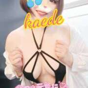 ヒメ日記 2026/04/29 08:37 投稿 かえで スイカ