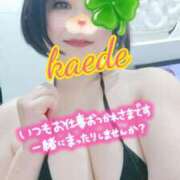 ヒメ日記 2026/05/19 20:22 投稿 かえで スイカ