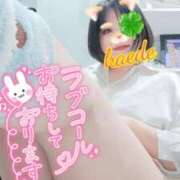 ヒメ日記 2026/05/20 08:13 投稿 かえで スイカ