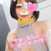 ヒメ日記 2026/05/20 10:45 投稿 かえで スイカ