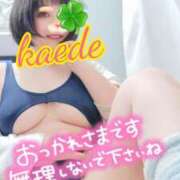 ヒメ日記 2026/07/23 19:47 投稿 かえで スイカ