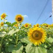 ヒメ日記 2026/08/28 23:14 投稿 かえで スイカ