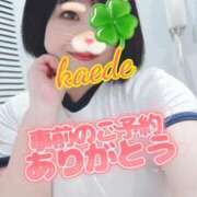 ヒメ日記 2026/10/17 09:45 投稿 かえで スイカ