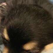 ヒメ日記 2024/12/14 03:32 投稿 新木りさこ プレジデントクラブ