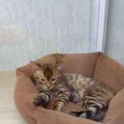 ヒメ日記 2025/01/05 03:48 投稿 新木りさこ プレジデントクラブ