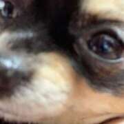 ヒメ日記 2025/01/30 01:32 投稿 新木りさこ プレジデントクラブ