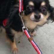 ヒメ日記 2025/02/03 19:37 投稿 新木りさこ プレジデントクラブ