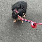 ヒメ日記 2025/02/04 07:10 投稿 新木りさこ プレジデントクラブ