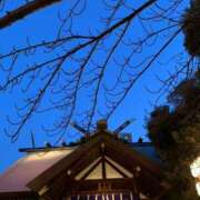 ヒメ日記 2025/02/06 18:41 投稿 新木りさこ プレジデントクラブ