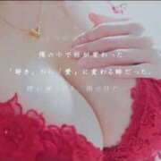 ヒメ日記 2025/04/29 08:19 投稿 新木りさこ プレジデントクラブ