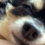 ヒメ日記 2025/04/30 01:10 投稿 新木りさこ プレジデントクラブ