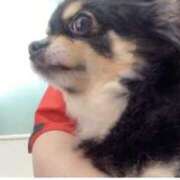 ヒメ日記 2025/05/12 13:21 投稿 新木りさこ プレジデントクラブ