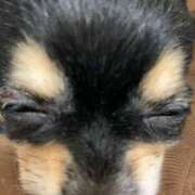 ヒメ日記 2025/06/06 00:15 投稿 新木りさこ プレジデントクラブ