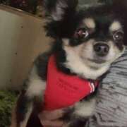 ヒメ日記 2025/06/07 22:42 投稿 新木りさこ プレジデントクラブ