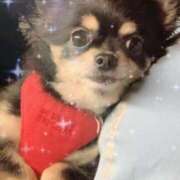 ヒメ日記 2025/06/10 01:42 投稿 新木りさこ プレジデントクラブ