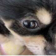 ヒメ日記 2025/06/11 14:24 投稿 新木りさこ プレジデントクラブ