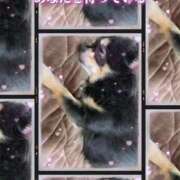 ヒメ日記 2025/06/23 12:35 投稿 新木りさこ プレジデントクラブ