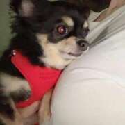 ヒメ日記 2025/06/29 22:28 投稿 新木りさこ プレジデントクラブ