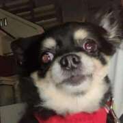 ヒメ日記 2025/06/29 22:42 投稿 新木りさこ プレジデントクラブ