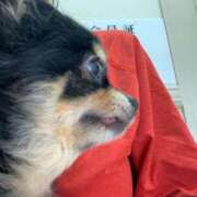 ヒメ日記 2025/07/05 08:37 投稿 新木りさこ プレジデントクラブ