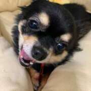 ヒメ日記 2025/07/08 23:41 投稿 新木りさこ プレジデントクラブ