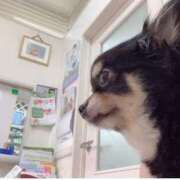 ヒメ日記 2025/08/25 15:34 投稿 新木りさこ プレジデントクラブ