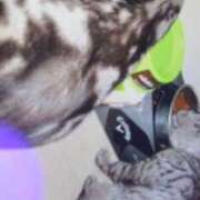 ヒメ日記 2025/10/28 10:36 投稿 新木りさこ プレジデントクラブ