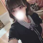 ヒメ日記 2025/07/29 07:20 投稿 あいか 舐めていいとも！柏店