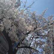 ヒメ日記 2026/03/30 13:11 投稿 水谷 華恋人(カレント)