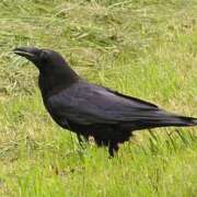 ヒメ日記 2025/05/04 10:36 投稿 はな ENTERTAINMENT SOAP LOVE VEGAS(ラブベガス)