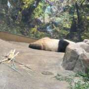 ヒメ日記 2025/05/27 11:16 投稿 はな ENTERTAINMENT SOAP LOVE VEGAS(ラブベガス)