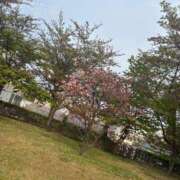 ヒメ日記 2025/05/29 09:46 投稿 はな ENTERTAINMENT SOAP LOVE VEGAS(ラブベガス)