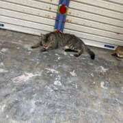 ヒメ日記 2025/06/29 12:26 投稿 はな ENTERTAINMENT SOAP LOVE VEGAS(ラブベガス)