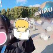 ヒメ日記 2026/02/12 12:36 投稿 はな ENTERTAINMENT SOAP LOVE VEGAS(ラブベガス)