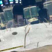 ヒメ日記 2026/03/01 09:46 投稿 はな ENTERTAINMENT SOAP LOVE VEGAS(ラブベガス)