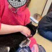 ヒメ日記 2026/03/27 11:20 投稿 はな ENTERTAINMENT SOAP LOVE VEGAS(ラブベガス)