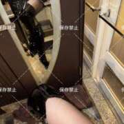 ヒメ日記 2026/07/01 23:17 投稿 すず 変態なんでも鑑定団