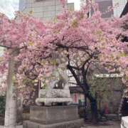 ヒメ日記 2025/03/30 11:46 投稿 麻生 MCロイヤル