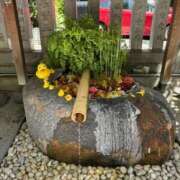 ヒメ日記 2025/05/03 17:26 投稿 麻生 MCロイヤル